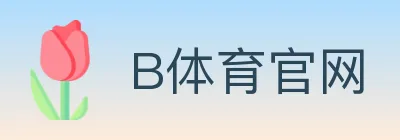 B体育官网 Logo
